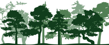 Trees silhouettes. Forest background. Vector illustration. EPS 10のイラスト素材