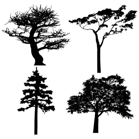 Set of silhouettes of trees. Vector illustration isolated on white background.のイラスト素材