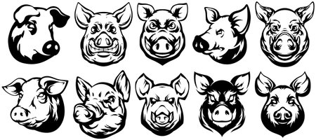 Pig head set - black and white vector illustrations for your designのイラスト素材