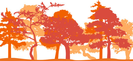 Forest background with trees silhouettes in orange and brown colors, vector illustrationのイラスト素材