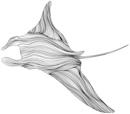 Stingray on a white background. Abstract illustration manta rey for your design.のイラスト素材