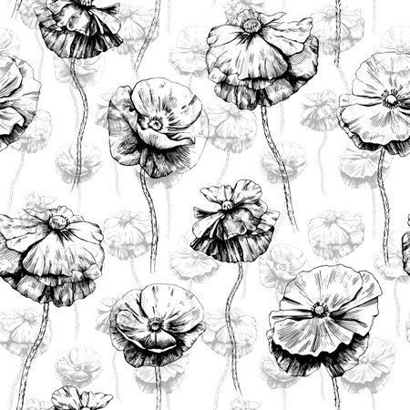 Seamless pattern with hand drawn poppy flowers illustration.のイラスト素材