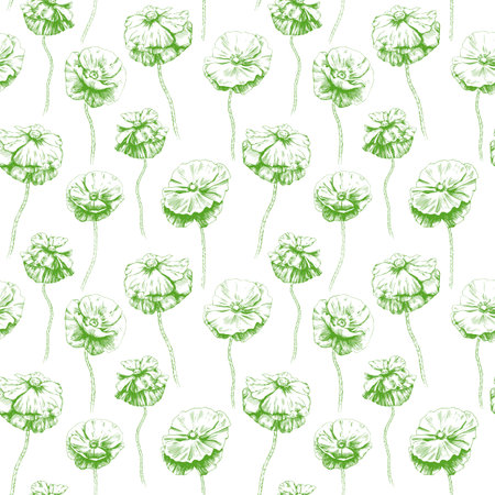 Seamless pattern with hand drawn poppy flowers illustration.のイラスト素材