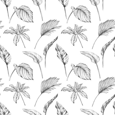 Seamless pattern with tropical palm leaves. Hand drawn illustration.のイラスト素材