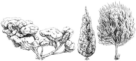 Vintage tree sketch collection of hand drawn isolated on white background.のイラスト素材