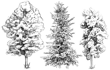 Vintage tree sketch collection of hand drawn isolated on white background.のイラスト素材