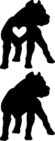 American Pitbull, Dog, Animal, Pet, Vector Illustrationのイラスト素材