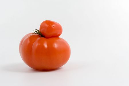 Genetic modify. Unique tomato on white background.の写真素材