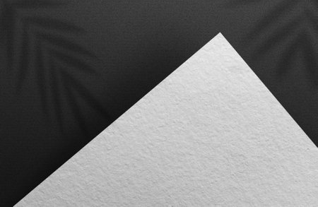 Shadow Overlay Plant Vector Mockup A4 Paper sheets. Shadows overlay effects Of A leaf on a black background in a modern minimalist style. For presentation Flyer, Poster, blank, logの写真素材