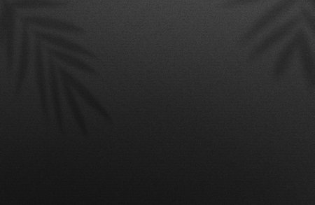 logo moukup paper.Square Paper Mockup with realistic shadows overlays leaf. Shadow Of A Tropical Plant. Template Flyer, Poster, blank, social media post, logo template in a trendyの写真素材