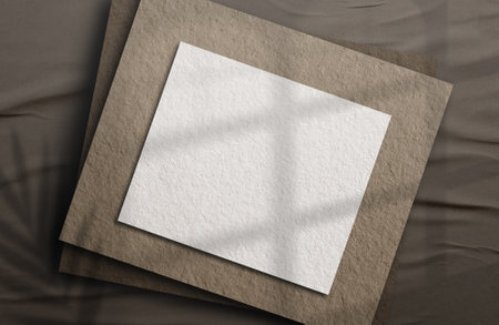 logo moukup paper.Square Paper Mockup with realistic shadows overlays leaf. Shadow Of A Tropical Plant. Template Flyer, Poster, blank, social media post, logo template in a trendyの写真素材