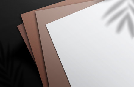 paper logo mockup. Paper mockup with realistic shades of brown covering the paper. Shade tropical plants. Blank flyer template Banner template for social media posts in a modern styleの写真素材