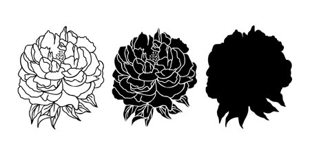 Vector Peonies SVG outline. Hand drawn Peonies Florals Silhouette. One line Peony flowers isolated iilustration.のイラスト素材
