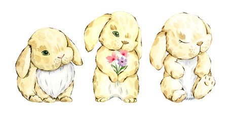 Watercolor cute bunnies set. Hand drawn Easter bunny illustration.の写真素材