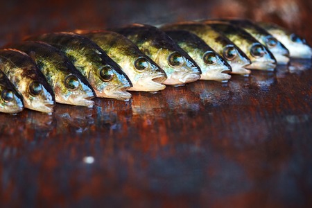 Fresh fish on wooden background.の写真素材
