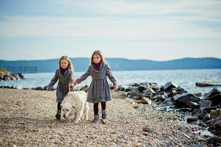 Two little twin sisters on a walk with dog の写真素材