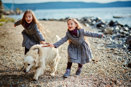 Two little twin sisters on a walk with dogの写真素材