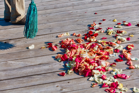 Multicolored rose petals are swept with a broom after the wedding ceremonyの写真素材