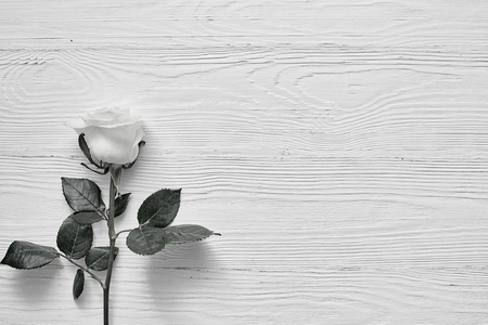 Beautiful white flower on light wooden background. Space for labelsの写真素材