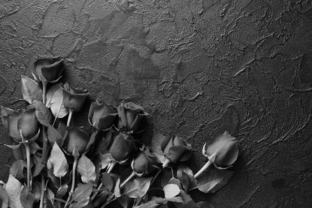 Red roses on a black, textured, stone background. Place for text, top view.の写真素材