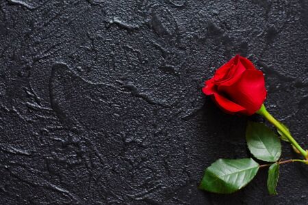Red rose on a black background, stone. A condolence card. Empty space for emotional, quotes or sayings. The view from the topの写真素材