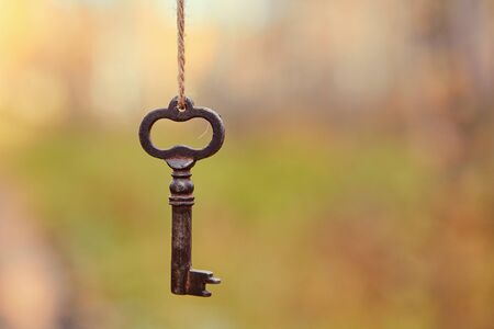 An old key hangs on a tree branch, against the background of a forest road. Blurred background, space for text.の写真素材
