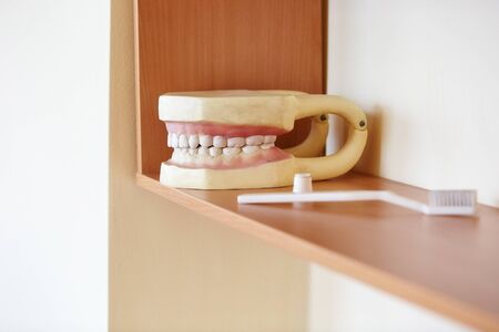 teeth layout for the dentist with a toothbrush. still life on the subject of dentistry and stomatology, odontology, medicine.の写真素材