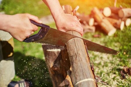Sawing dry logs for firewood with a hand saw.の写真素材