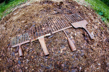 A set of ancient poaching tools for fishing - hooks and forks.の写真素材