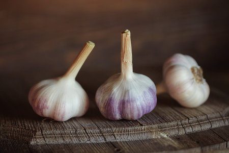Three ripe heads of fresh garlic on a dark wooden background. Folk medicine for viral and colds.