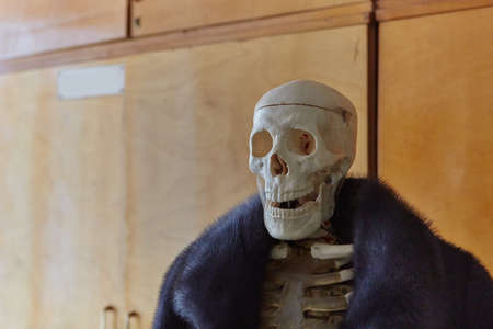 Skeleton of a man in a fur coat made of natural animal fur. Concept of Halloween, environmental protection.の写真素材