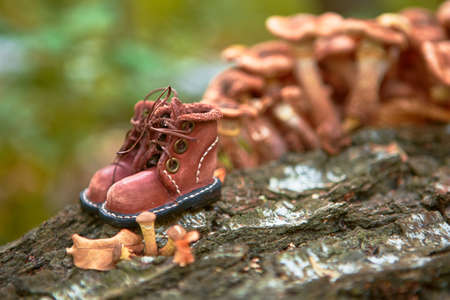Brown leather toy shoes. Selective focus.の写真素材
