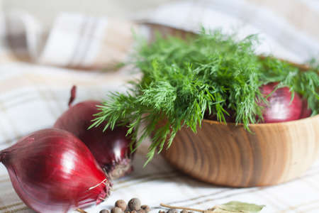 Dill and onionsの写真素材