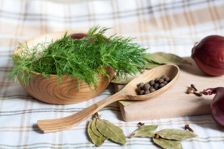 Dill and spicesの写真素材