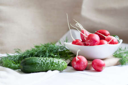 Cucumbers radishes and herbsの写真素材