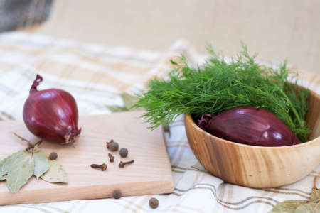 Dill and spicesの写真素材