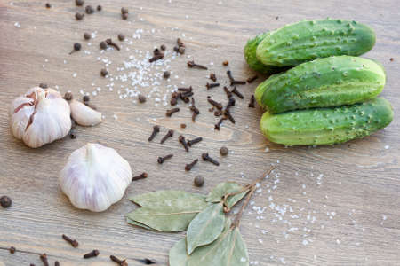 Cucumber and spicesの写真素材