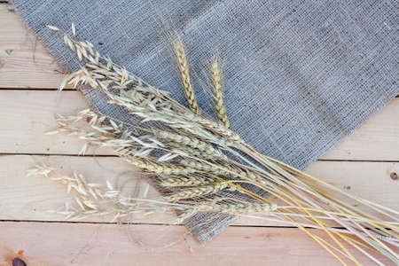 Sheaf of wheat and oat on wooden backgroundの写真素材