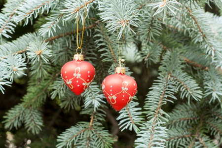 Christmas and New Years decorations on the background spruce, close-upの写真素材