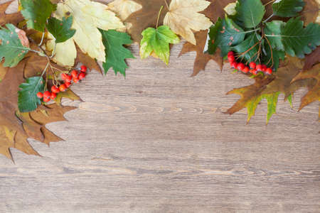 Autumn leaves yellowed wooden background close up, selective focusの写真素材
