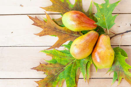 Red pears and autumn yellow maple leaves on a wooden table, close up, selective focusの写真素材