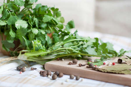 Green coriander on a wooden board with spices, close-upの写真素材