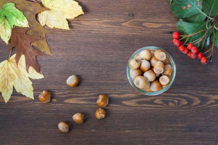 Hazelnuts, mountain ash, red and yellow autumn leaves on a wooden backgroundの写真素材