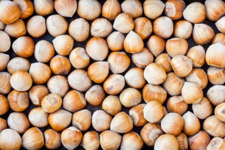 Nuts, hazelnuts as background. Healthy eating vegetarian nut food brown hazelnut.の写真素材