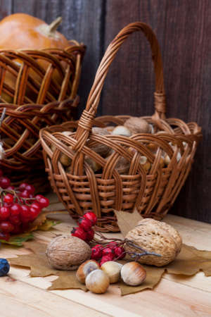 Autumn still life with pumpkins in basket and autumn berry on old wooden background, closeupの写真素材