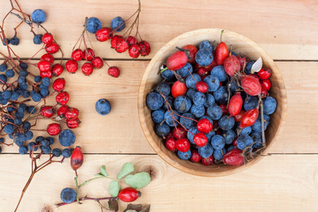 Autumn still life with autumn berry on wooden background, closeup