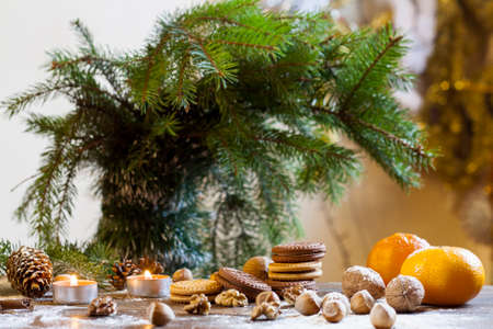 Tangerines, cookies and nuts in Christmas decor with Christmas tree, nuts and apples on colorful background bokehの写真素材