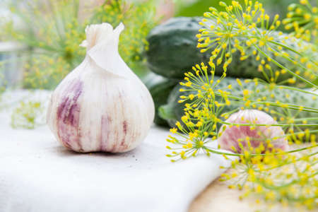 Fresh garlic and dill on a wooden table on summer green  backgroundの写真素材