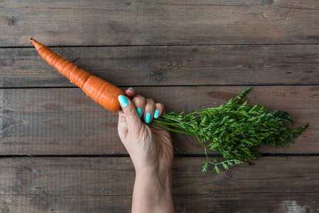 Fresh garden carrot with green leaves in the hand, dark wooden backdropの写真素材