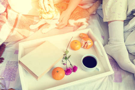 Women sitting on bed with red cat near tray with old book, tangerines and cup of coffee, cozy home concept. Coloring and processing photo with softの写真素材